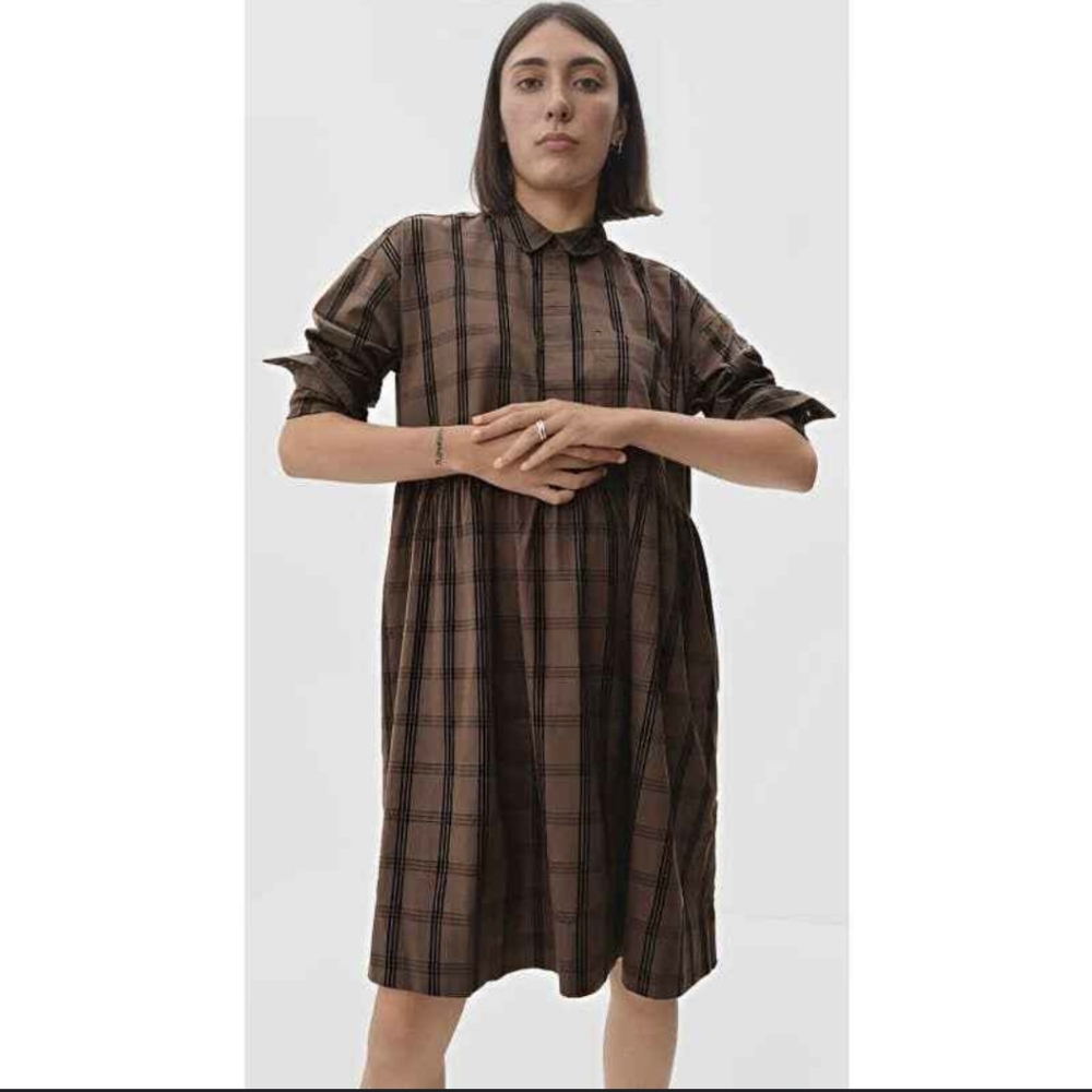 Everlane midi poplin dress